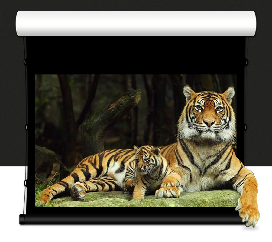 Cinema Series Electric Tab Tensioned Projector Screen 120 Inch
