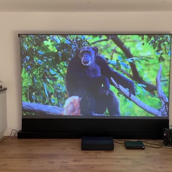 100" 16:9 Ultra Short Throw Ambient Light Rejecting Floor Rising Screen