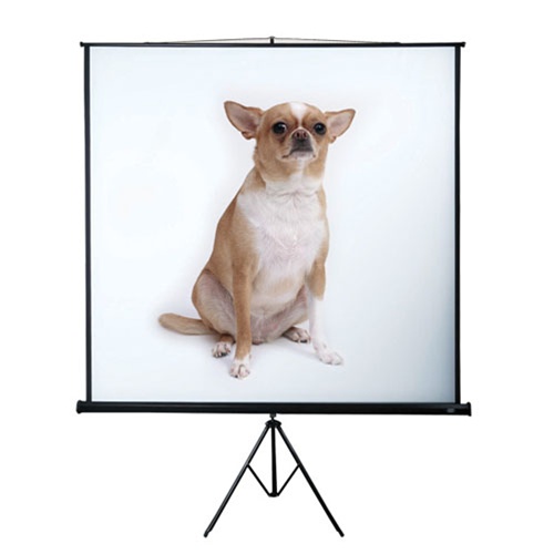 Tripod Projection Screen Portable Projector Screen 120'' 4:3 customized size